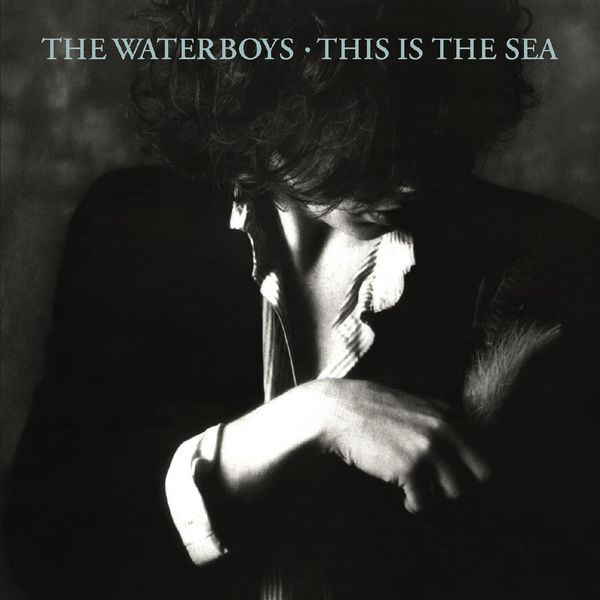 This Is The Sea – Álbum de The Waterboys | Spotify
