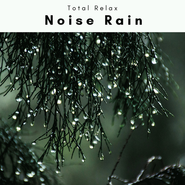 1 Noise Rain Noise Rain cover art