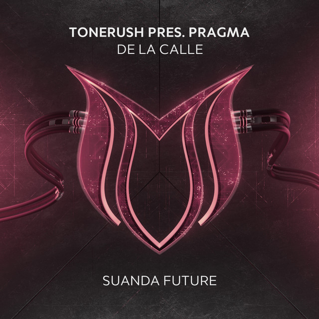 De la Calle - Extended Mix album art