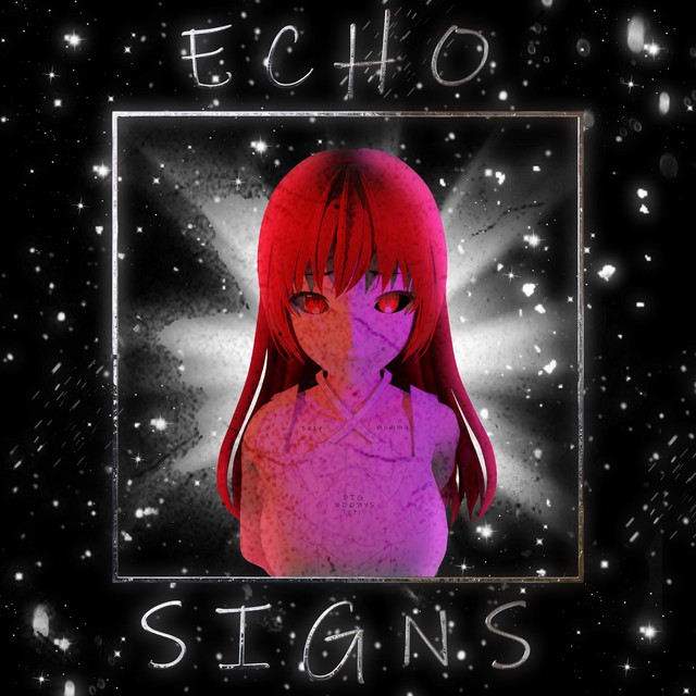 Обкладинка: Echo Signs — Pxsxr