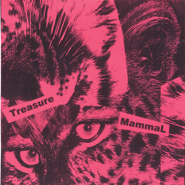 Treasure Mammal cover art