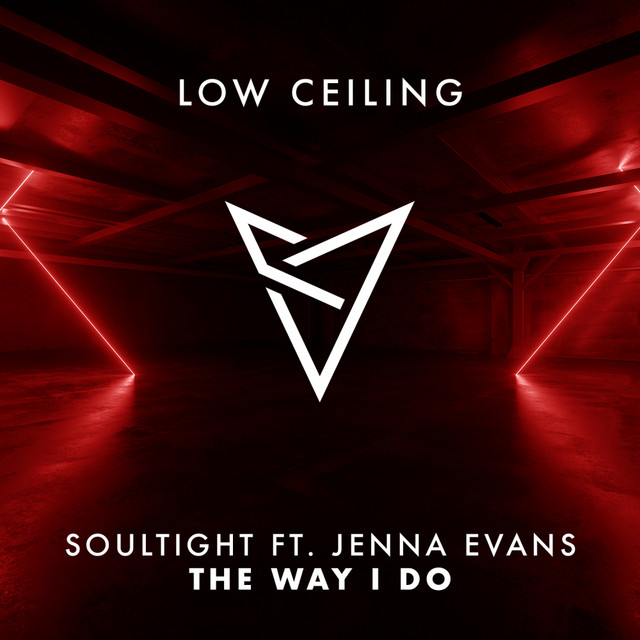 THE WAY I DO album art