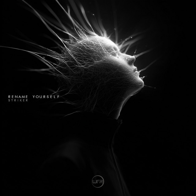 Striker album art