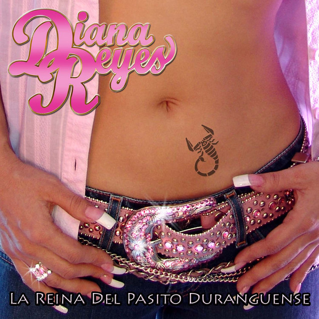 La Reina del Pasito Duranguense cover art