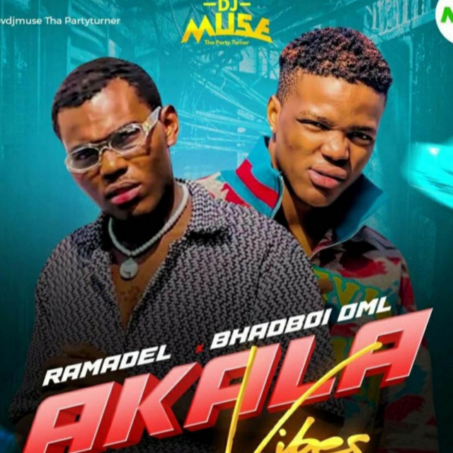 Akala Vibez cover art