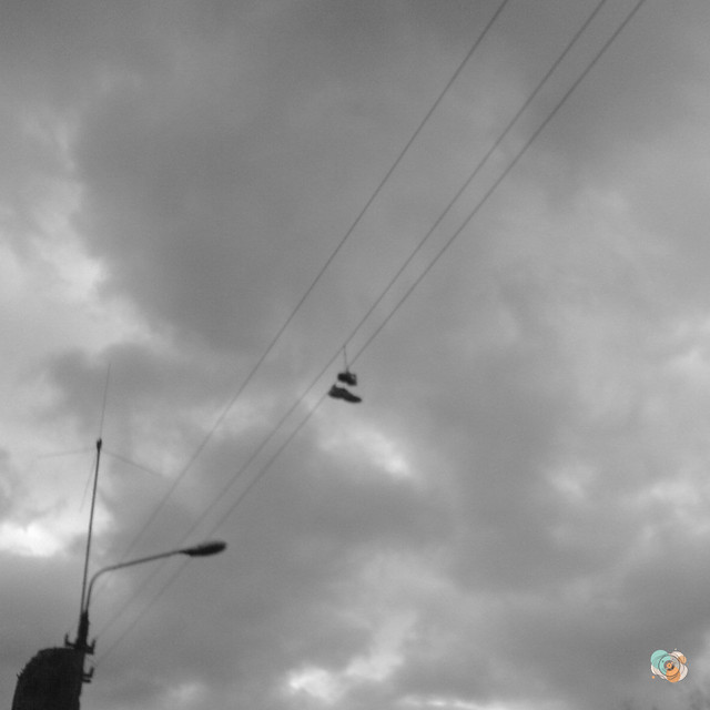 take me to the light (single)