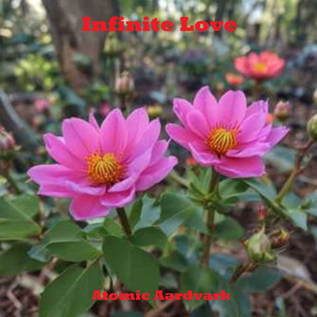 Atomic Aardvark – Infinite Love
