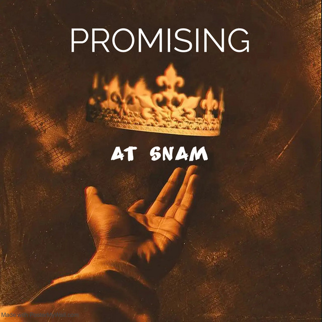 Promising cover art