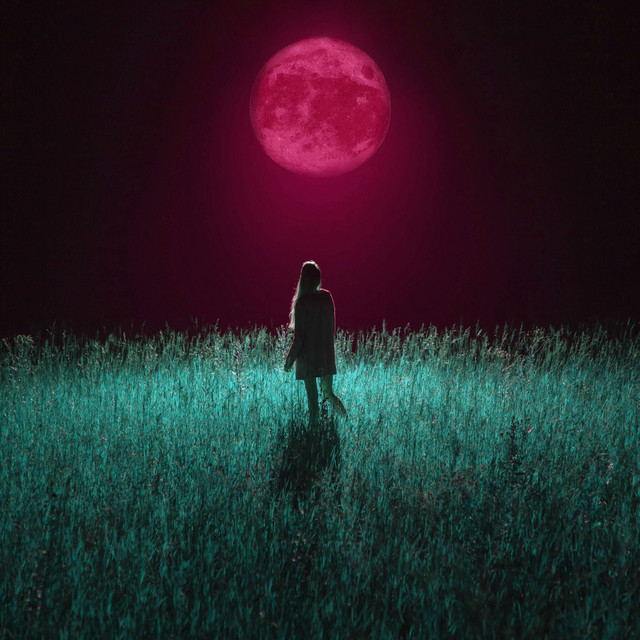 Singing with the Wolves - Remix