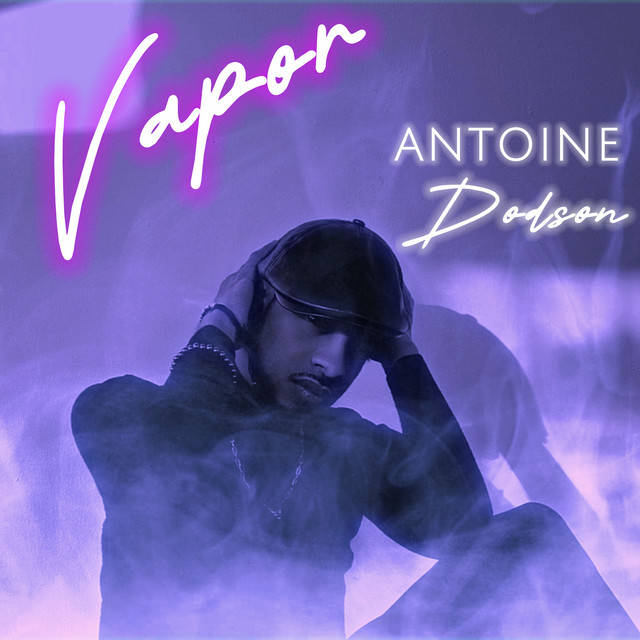 Vapor cover