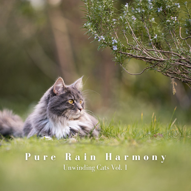 Pure Rain Harmony: Unwinding Cats Vol. 1 cover art