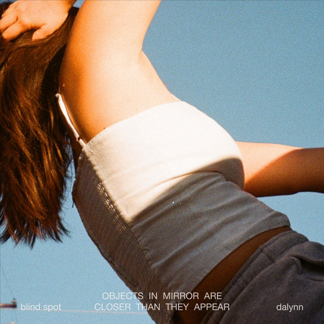blind spot cover art