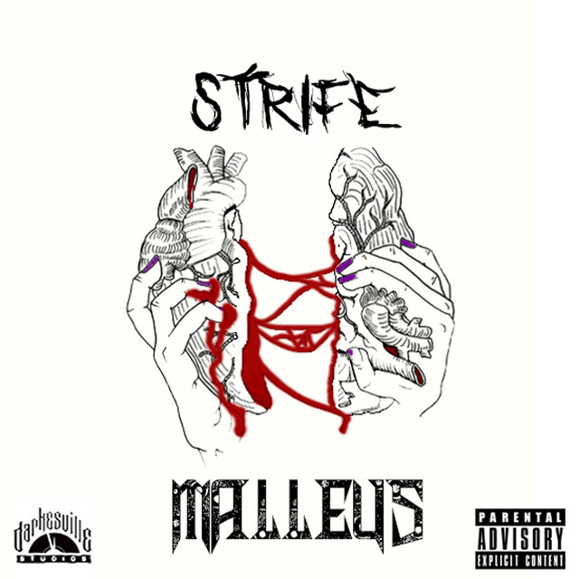 Strife cover
