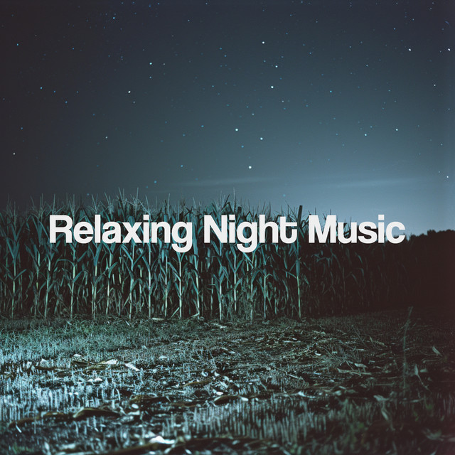 Relaxing Night Music cover art