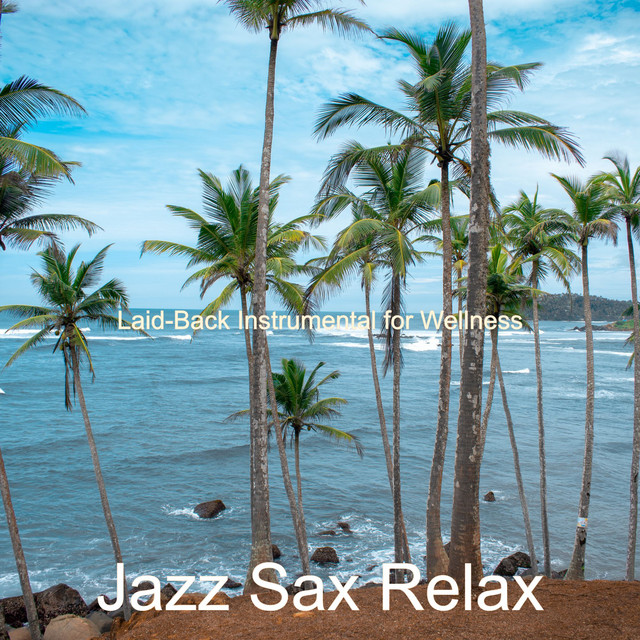 Laid-Back Instrumental for Wellness cover art