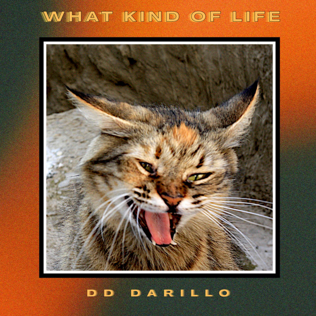 What Kind Of Life cover