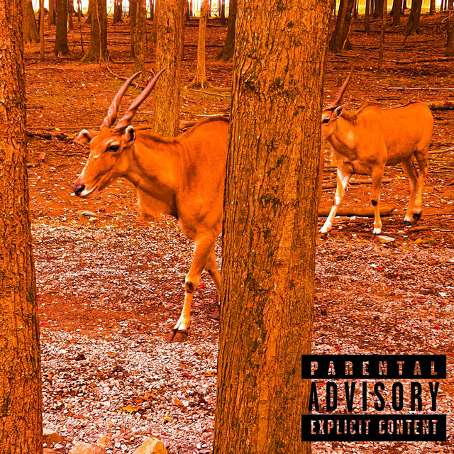 Kama Sutra cover