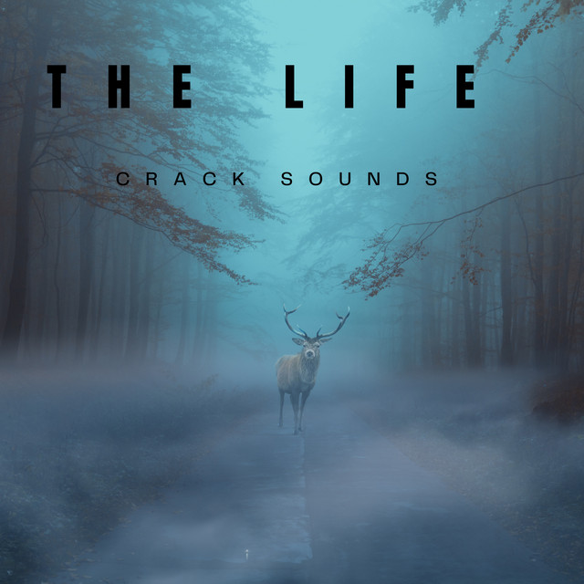 The Life cover art