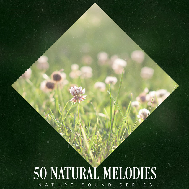 50 Natural Melodies - Album by Nature Sound Series | Spotify