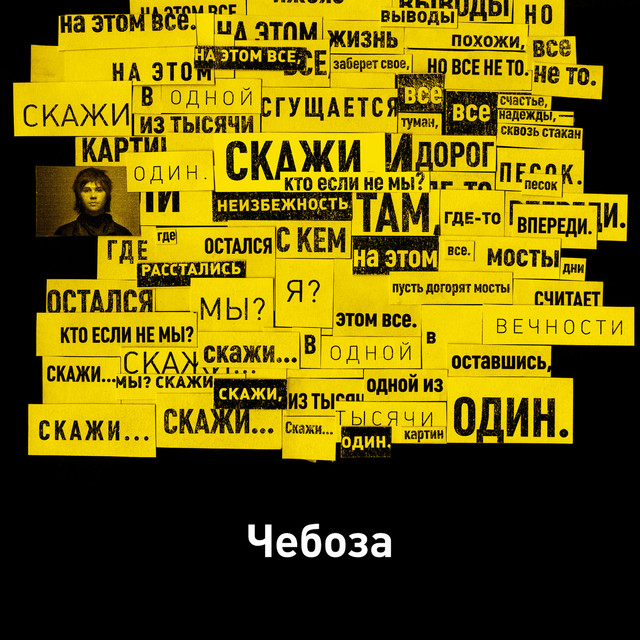 Скажи cover