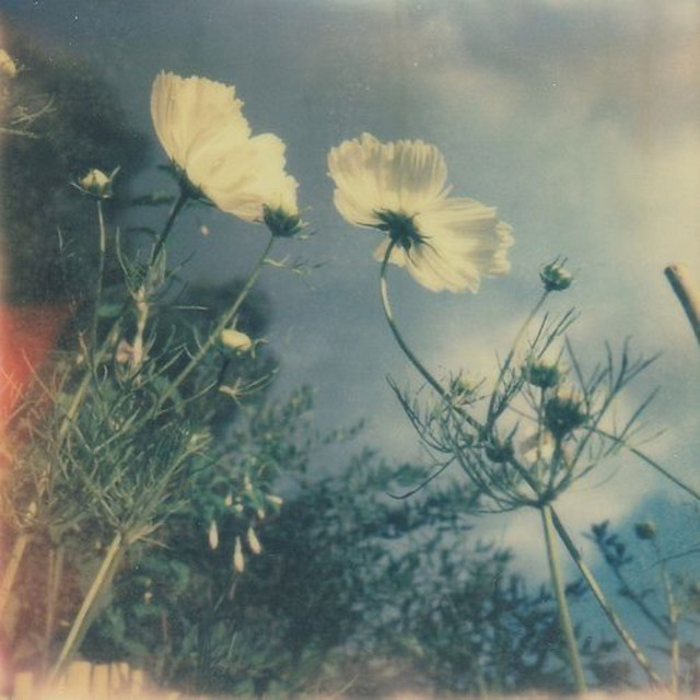 A Gentle Ending cover art