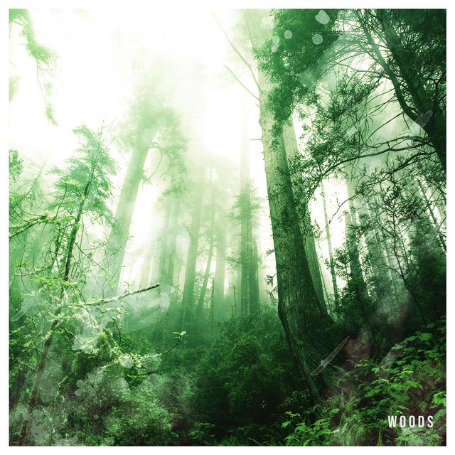 Woods cover art