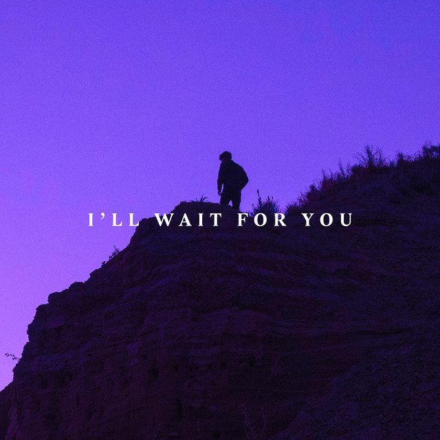 I Ll Wait For You Single By Cyberlove Spotify