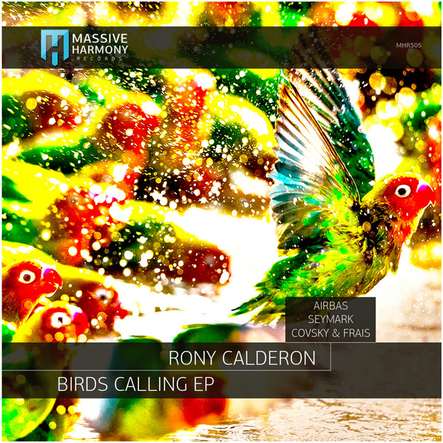 Birds Calling cover art