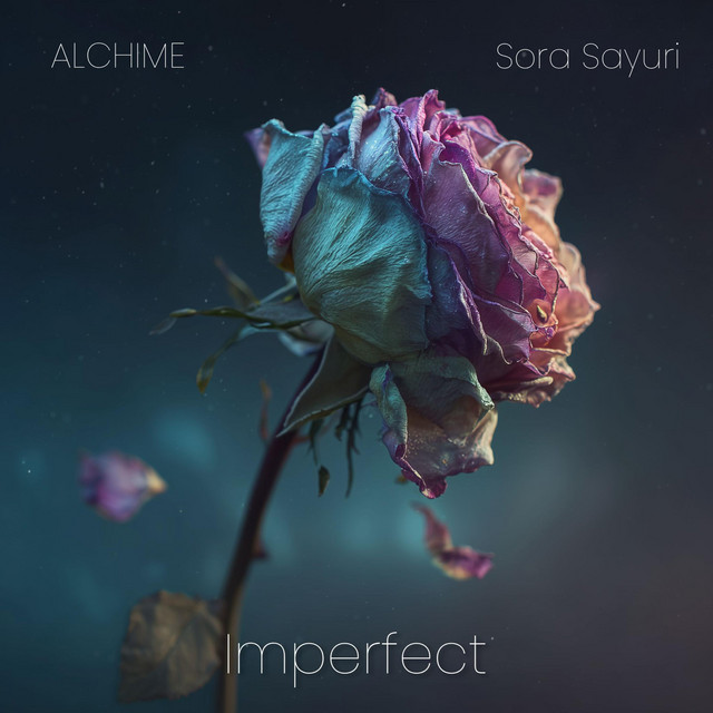 Imperfect cover art