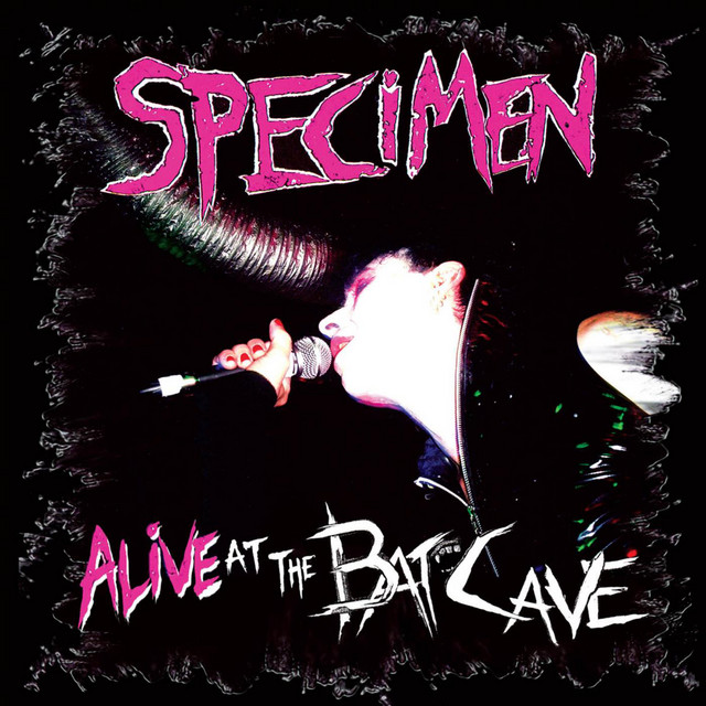 Alive at the Batcave cover art