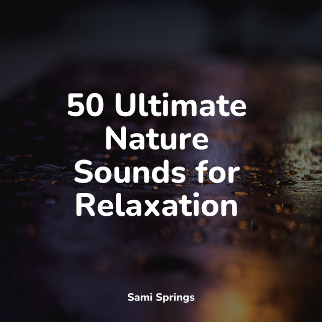 50 Ultimate Nature Sounds for Relaxation - Album by Deep Sleep Music ...