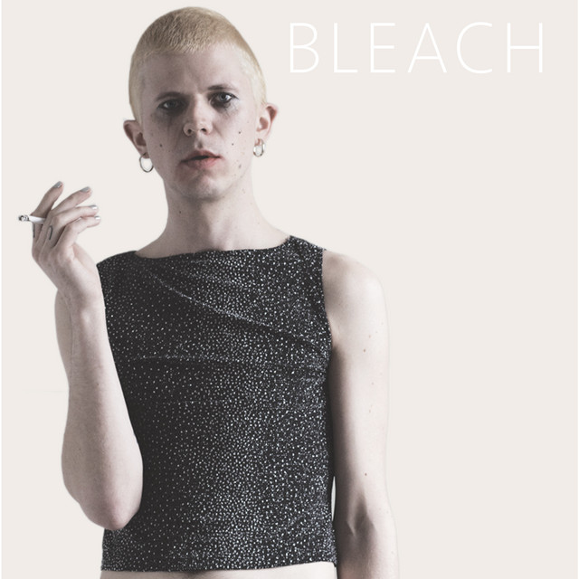 Bleach cover art