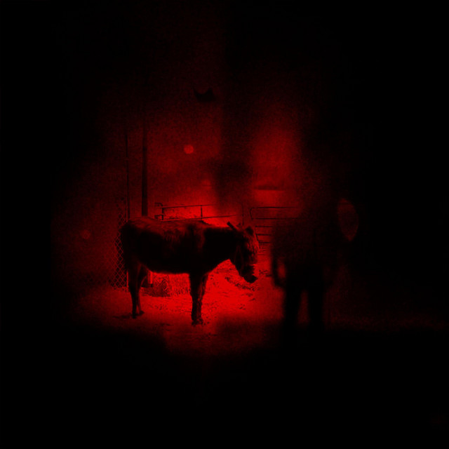 Come Home/If You Survive EPs (Extended Edition) cover art