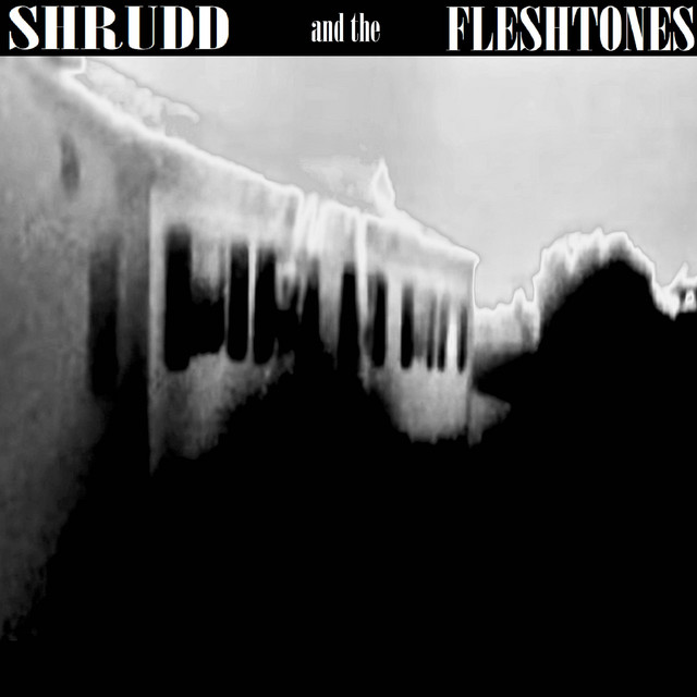 Shrudd and the Fleshtones cover art