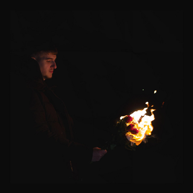 Fire cover art