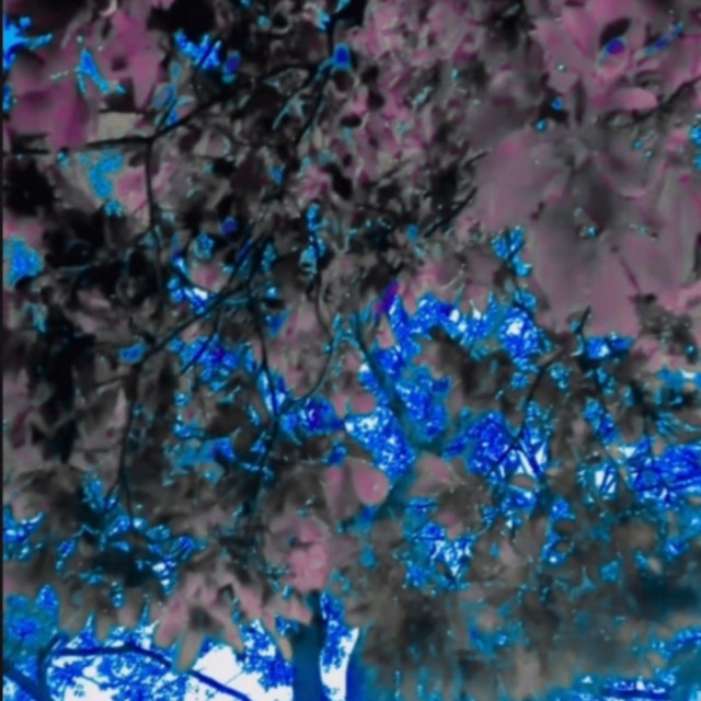 Dripman