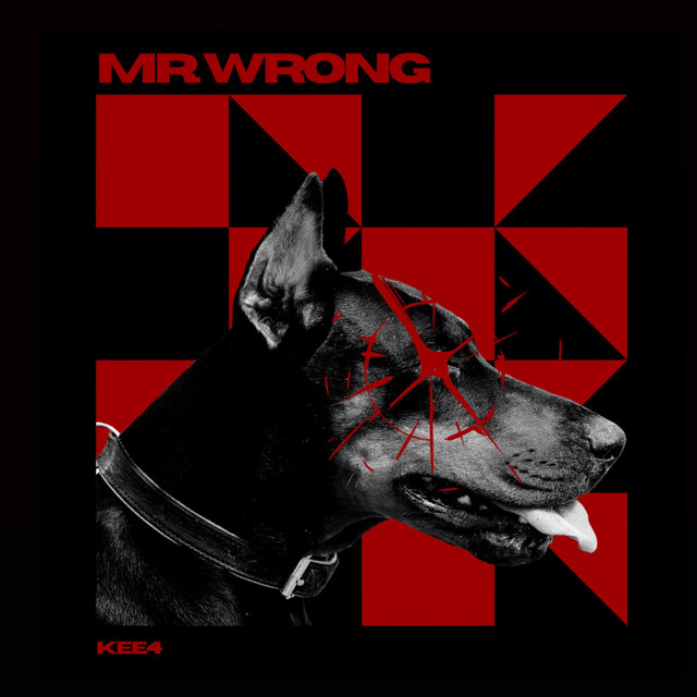 MR.WRONG cover art