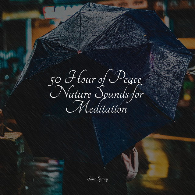 50 Hour of Peace Nature Sounds for Meditation - Album by Happy Baby ...