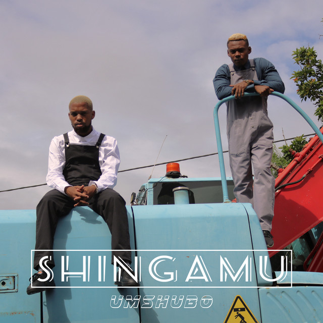 Umshubo - Single by Shingamu | Spotify