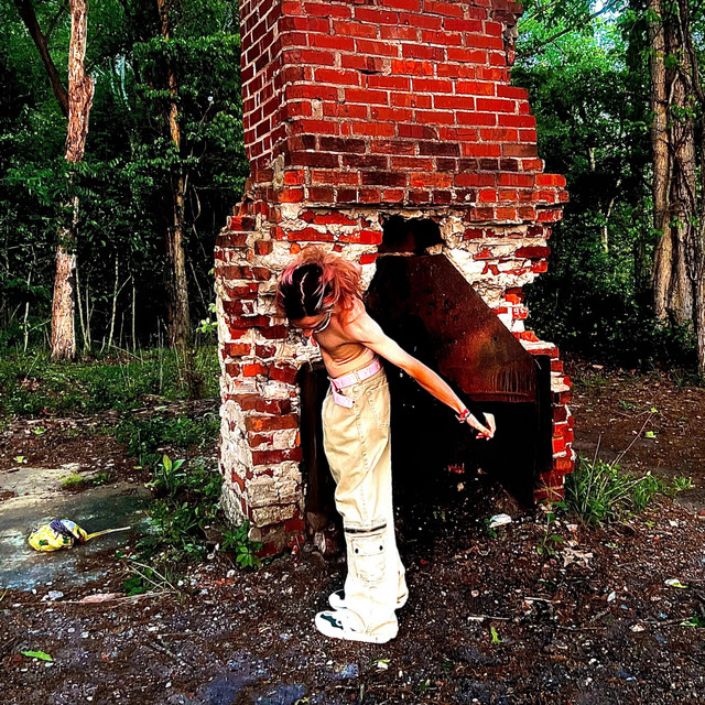 洋楽 Accidental suicide / deceased The Day Alternative Music Died: Dylan, Zeppelin, Punk, Glam, Alt