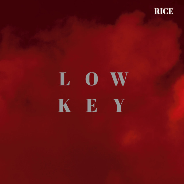 Low Key - Single by RICE / DJ Bucket | Spotify