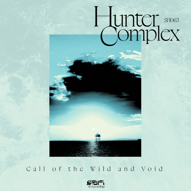 Call of the Wild and Void cover