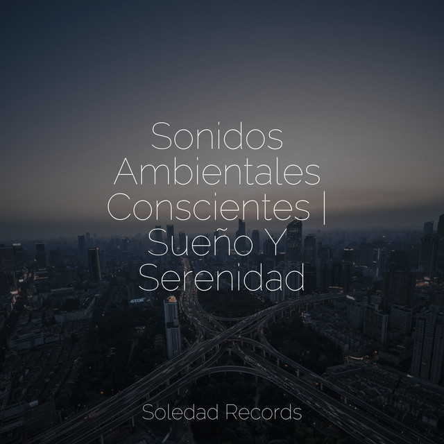 Cover of Sonidos Ambientales Conscientes | Sueño Y Serenidad by Sons da natureza HD