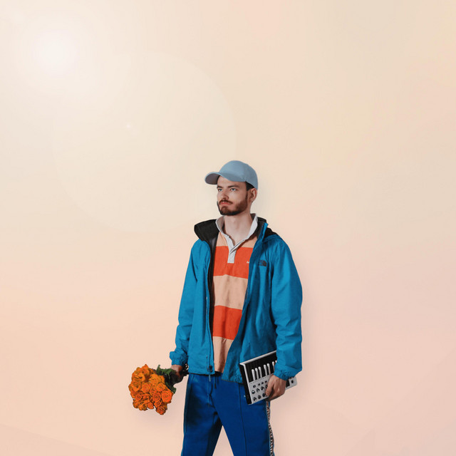 Blauwe Vinkjes cover art
