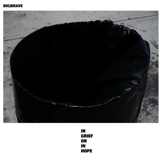 in grief or in hope cover art