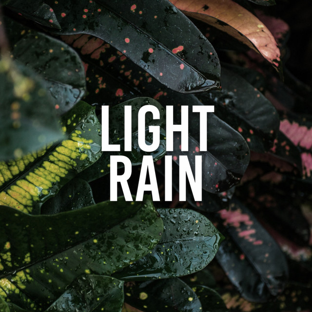 Light Rain cover art