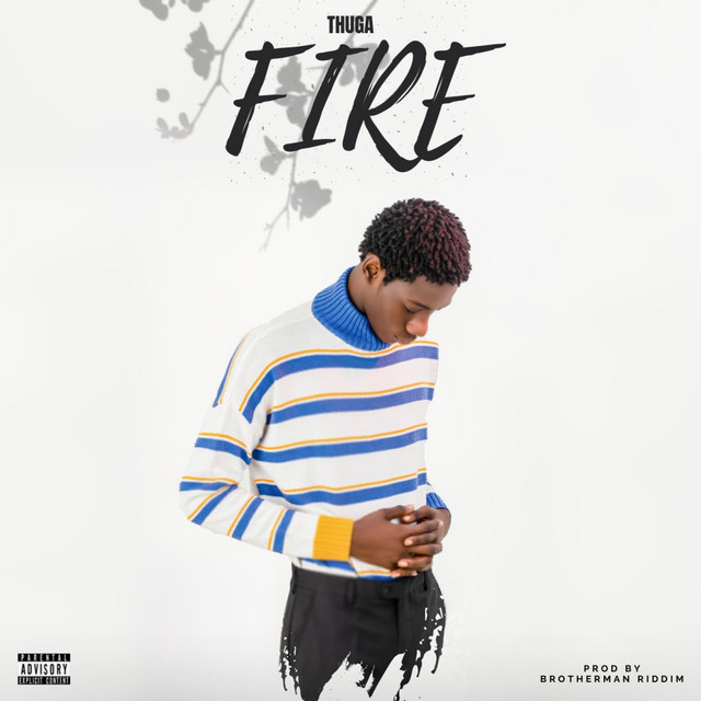 Fire cover art