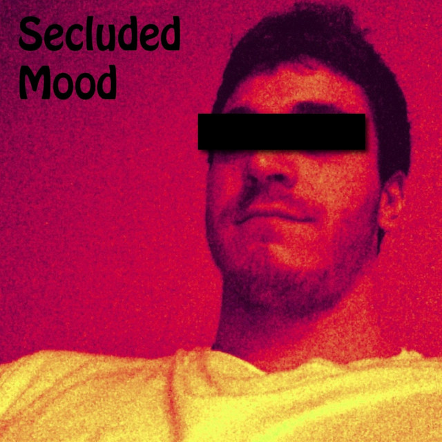 Secluded Mood - Single by Tyler Goldstein | Spotify