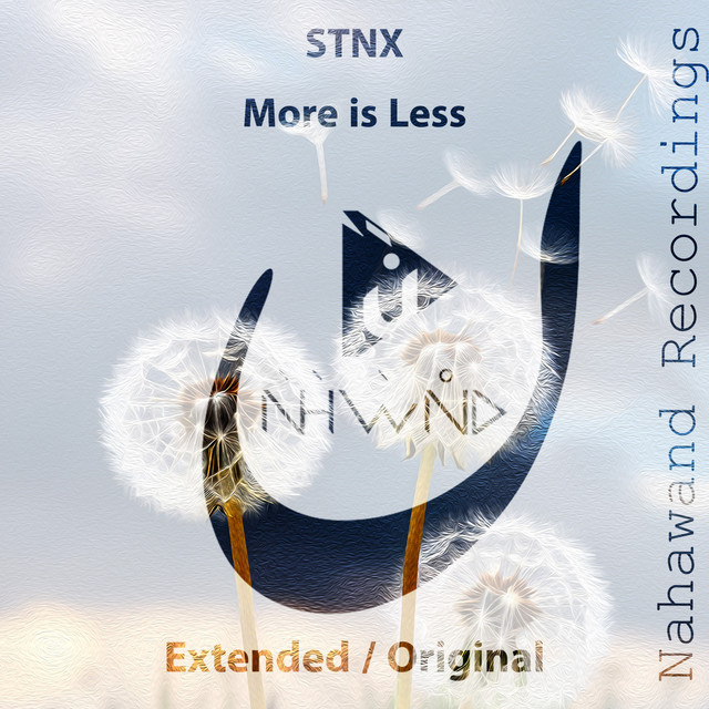 More Is Less - Extended Mix album art