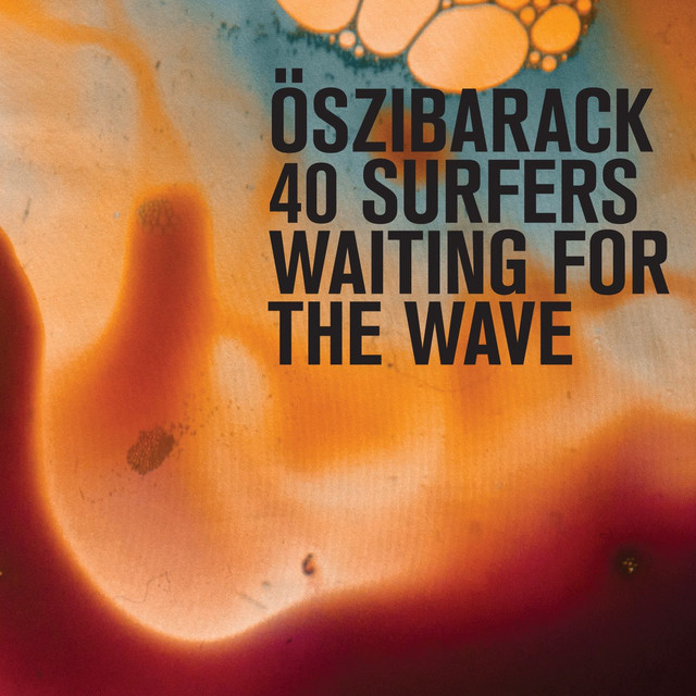 40 Surfers Waiting For The Wave cover art